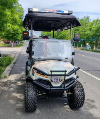 New golf carts are launched