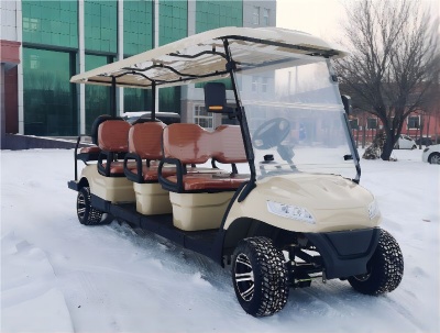 Our company launches a new aluminum alloy chassis golf cart
