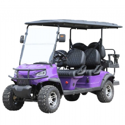 Our factory has made a new breakthrough in battery technology for electric golf carts