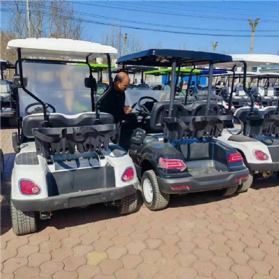 Welcome customers from Dubai to visit and explore a new chapter in the golf cart industry