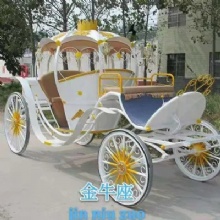 EuropeanMLH Style Electric Carriage Sightseeing Car