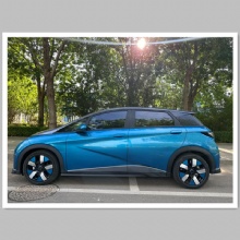 New Energy Vehicle Dolphin 2021 Cavaliers Version Second-hand  Car