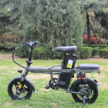 Multifunctional Electric Folding Bicycle Stainless Steel Frame Electronic Brake 14 Inch Portable