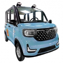 1000W Four-Wheel Electric Vehicle 4-Wheel Mini Electric Vehicle