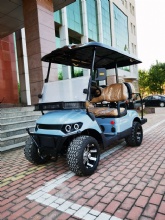 Global search for exclusive agents for electric golf carts