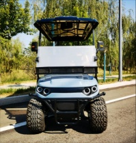 Factory Direct Sales of New Electric Golf Carts