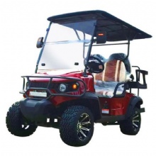 New Energy Resort Hotel Airport Customized Motor Electric Golf Cart