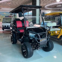 Factory 48V/72V Electric Golf Cart 2/4 Seats 5kw off-Road Golf Cart