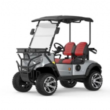 New affordable off-road 2-seater luxury sightseeing car electric golf cart