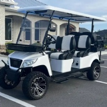 Super Luxury 48V 5kw Kds AC Motor and Aluminum Alloy Chassis Golf Cart