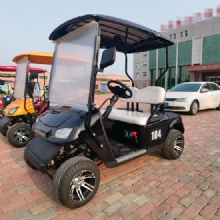 2 Seats Super cheap Electric Vehicle Golf Carts
