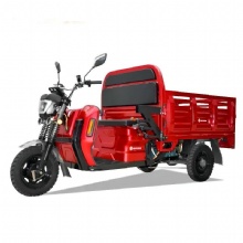 2024 Hot Selling Low Price and EEC High Quality Electric Tricycle