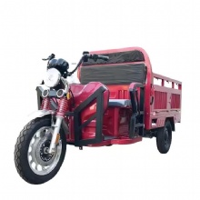 Stylish Cargo Tricycle 1500W Food Truck Transport Electric Tricycle