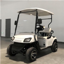 Customizable 2-Seater Latest Model Electric Golf Cart