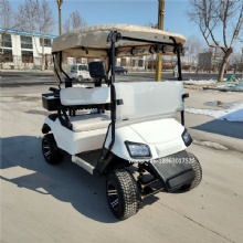 Specially customized golf cart with on-board ball washer and stem washer with refrigerator 2-seat electric golf cart