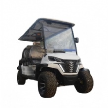 6 Seater 6 Passenger Electric Golf Cart Cheap Old Golf Carts Vintage Classic Car for Sale