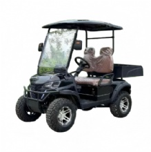 Luxury 48v Golf Cart With Cargo Box Electric 2 Seater Club car