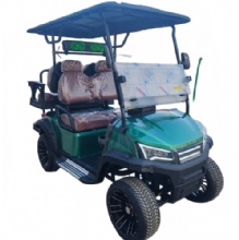 Golf Buggy Used in Golf Course 2025 New Design Top Quality Top Option Golf Cart