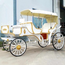 Sightseeing Tourist Horse Drawn European Horse Carts Wagon Carriage Pumpkin Wedding Electric Horse Carriage