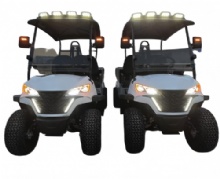 2025 New Style Customized 2 Seats Top Quality Golf Cargo Cart