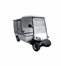 Single Rider Street-Ready Unique 2-Seater Forward Facing Golf Cart with Cargo Box Electric Buggy
