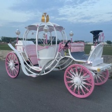 Horse Drawn Carriage with Three Rows of European Style Tourist Sightseeing Cart