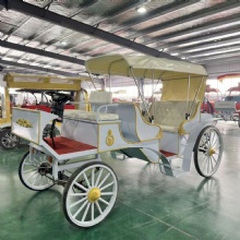 Customized Color Popular Luxury Royal Carriages Electric Classic Royal Carriage for Sale