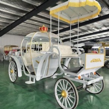 Good Quality New Arrival European Luxury Royal Outdoor Horse Carriage Sightseeing Horse Cart Electric Car for Sale