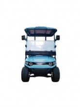 Low Price 2 Seats Golf Cart with High Quality
