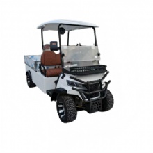 2-seater golf cart with cargo bed, suitable for multiple scenarios