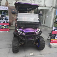 2026 New Golf Cart