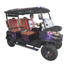 2026 Stylish Golf Cart for Smooth Golf Course Adventures
