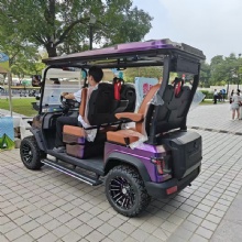 2026 Stylish Golf Cart for Smooth Golf Course Adventures