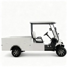 2-местный гольф-кар с грузовой платформой, подходящий для различных сценариев использования 2-местный гольф-кар с грузовой платформой, подходящий для различных сценариев использования