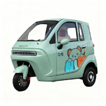 Fully enclosed design spacious 3-seat A800 Electric Tricycle