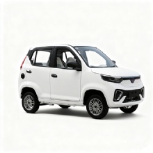 右舵EEC/COC电动四轮踏板车