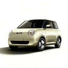 2025 Changan LUMIN Electric Vehicle - City Used Cars 2025 Changan LUMIN Electric Vehicle - City Used Cars