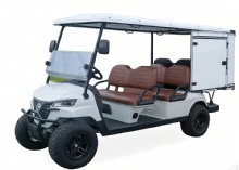 4+0 seater 2WD gasoliine golf