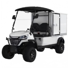 2 seaters 4WD electric golf cart with a box