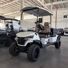 2 seater 4wd electric golf carts 2 seater 4wd electric golf carts