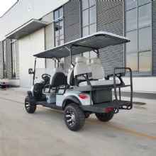 Yisen 2026 汽油版 4+2 座高尔夫球车