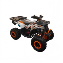 多功能燃油动力200cc全地形车