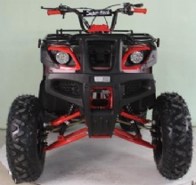 多功能燃油动力200cc全地形车