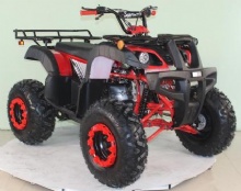 多功能燃油动力200cc全地形车