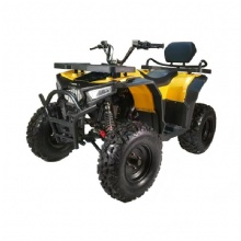 多功能燃油动力200cc全地形车