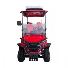 Yisen 双座 72V 电动高尔夫球车（带空调）